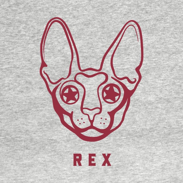 Head of a Cornish Rex. Flat design for cat and feline lovers by croquis design